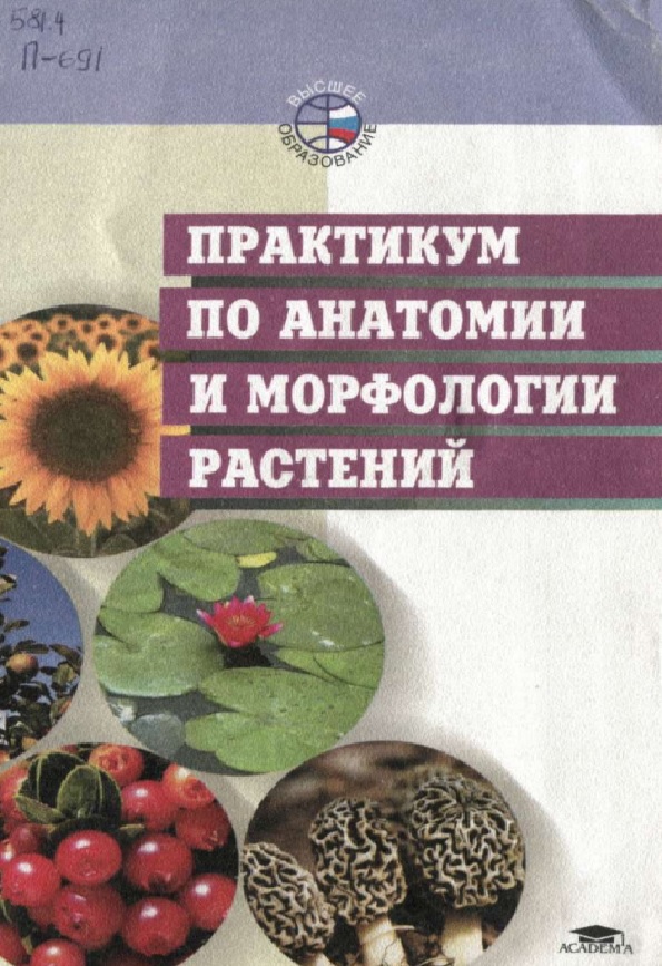 Практикум по анатомии и морфологии растений