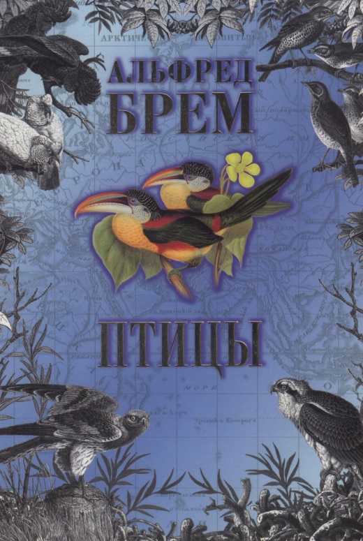Птицы. В 2-х том 2