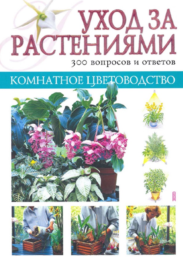 Комнатное цветоводство. Уход за растениями. 300 вопросов и ответов