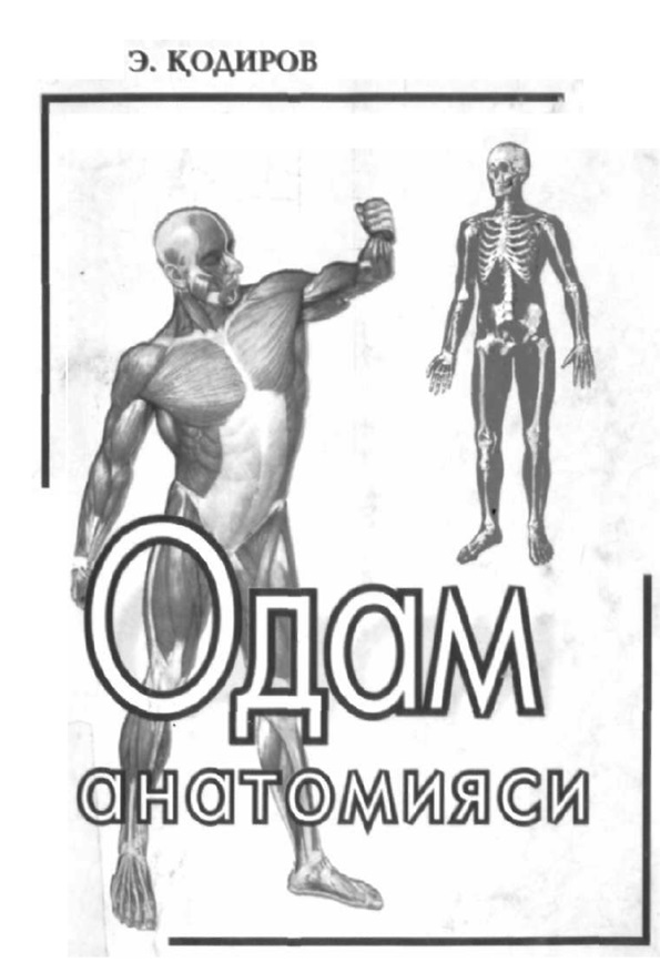 Одам анатомияси