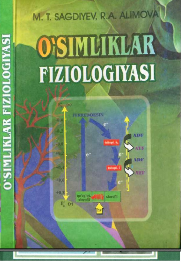 O'simliklar fiziologiyasi