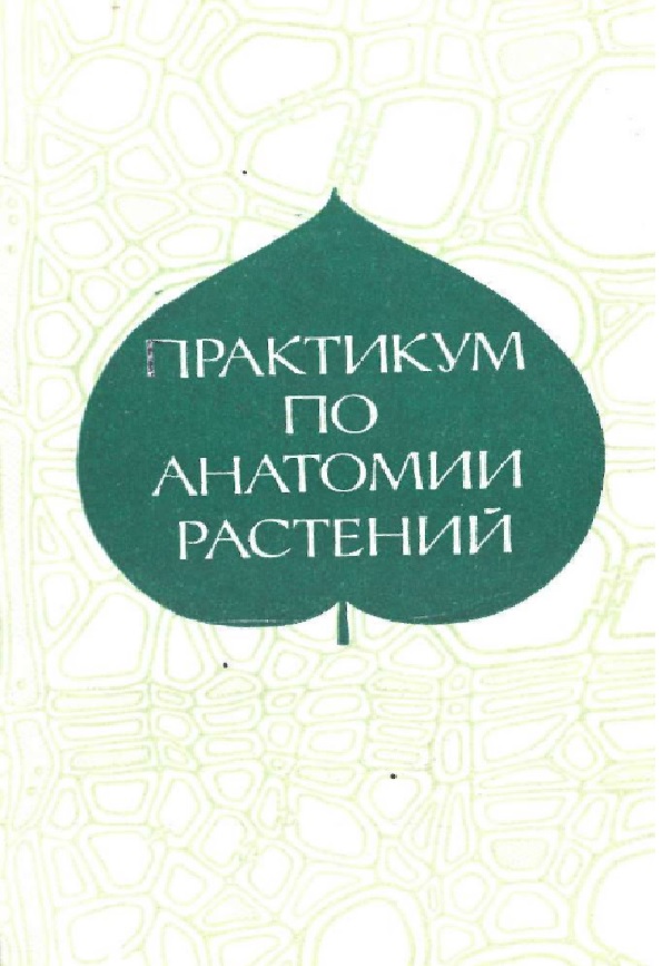 Практикум по анатомии растений