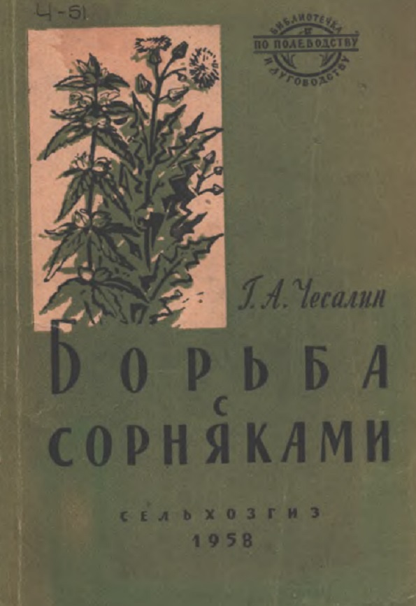 Борьба с сорняками в посевах кукурузы