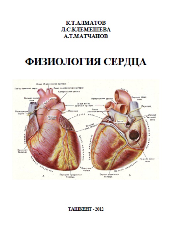 Физиология кровообращения. Физиология сердца