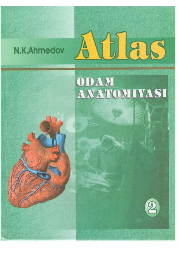 Atlas Odam anatomiyasi 2