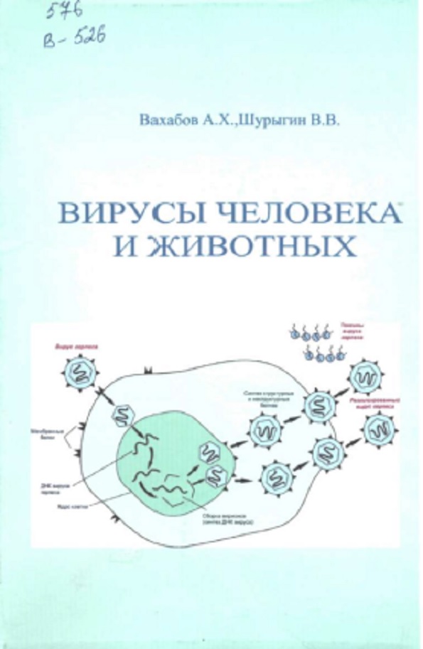 Вирусы человека и животных