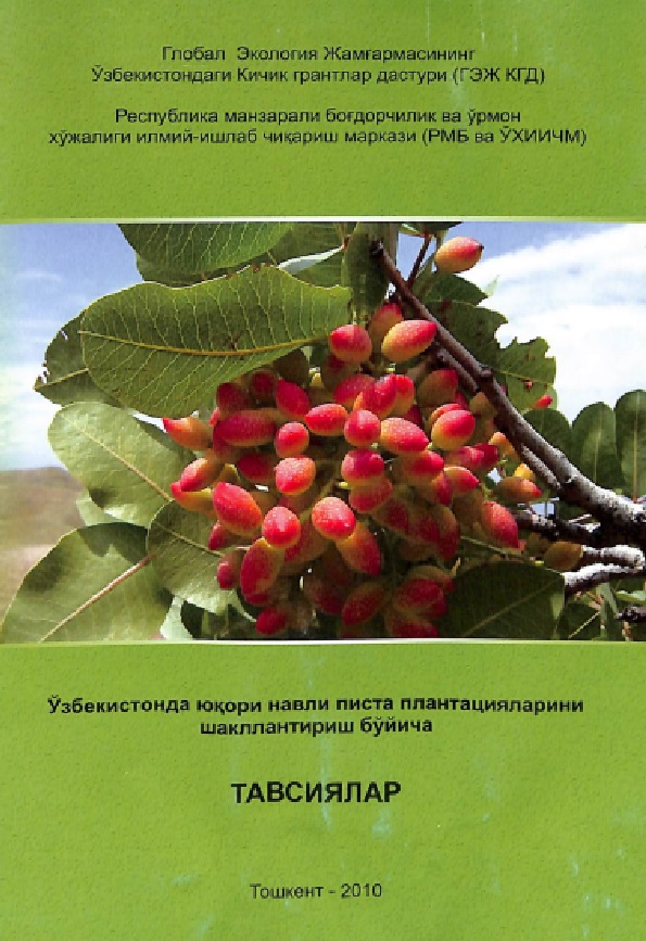 Ўзбекистонда юқори навли писта плантацияларини шакллантириш бўйича тавсиялар