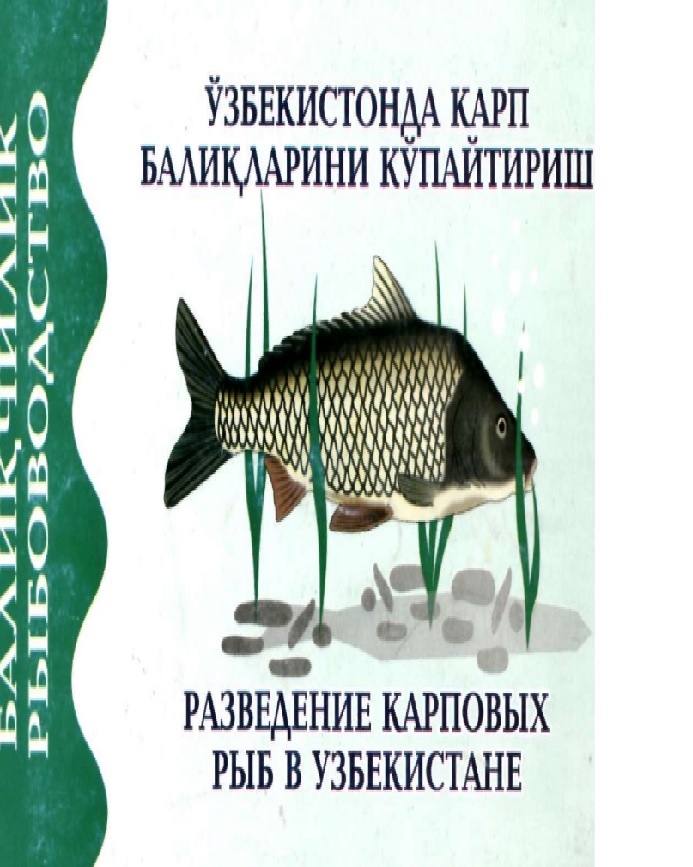 Ўзбекистонда карп баликларини кўпайтириш. Разведение карповых рыб в Узбекистане