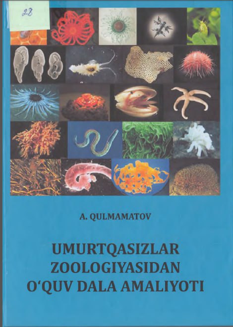 Umurtqasizlar zoologiyasidan o`quv dala amaliyoti