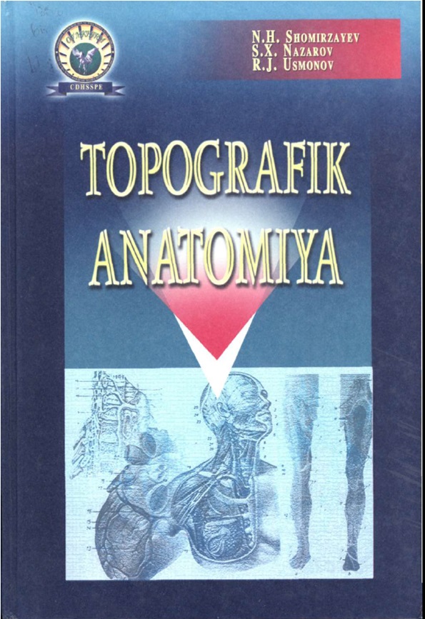 Topografik anatomiya