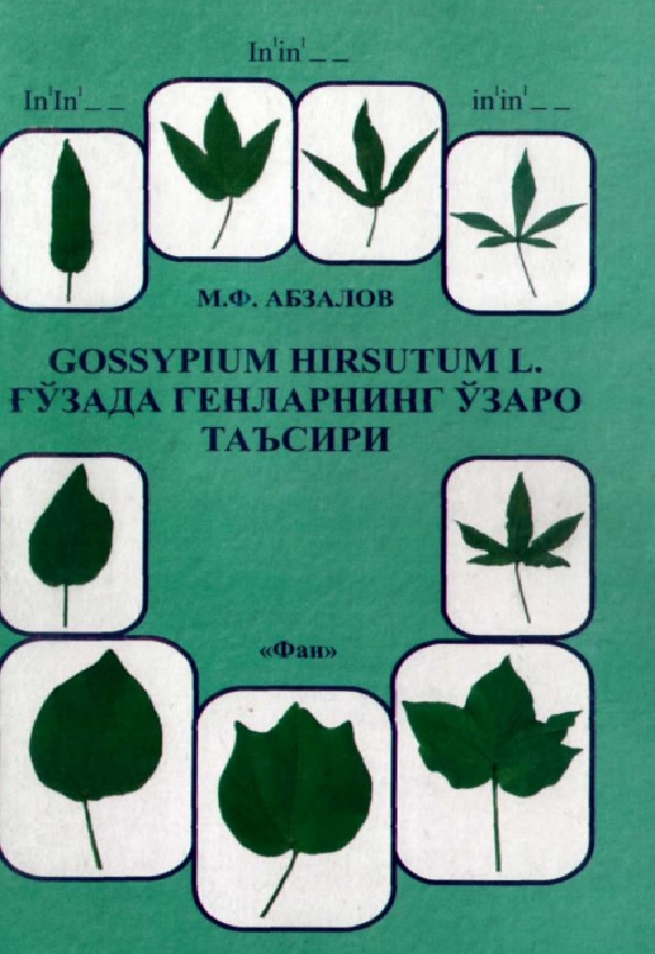 Gossypium hirsutum L. Ғозада генларнинг ўзаро таьсири