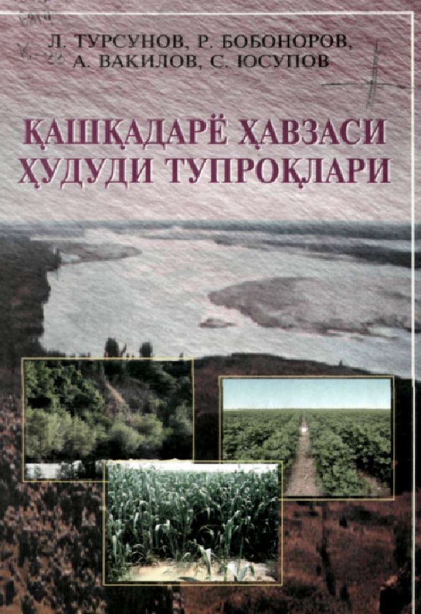 Кашкадарё хавзаси худуди тупроклари