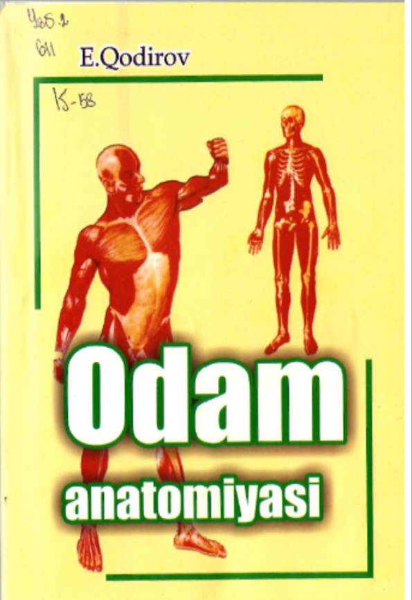 Odam anatomiyasi